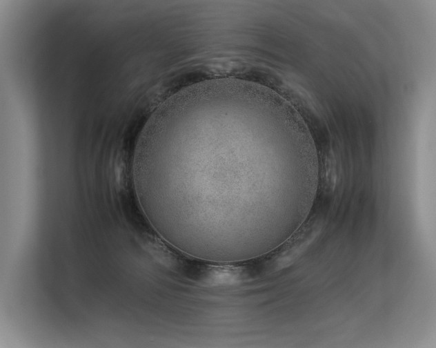X0000113560226200909181226