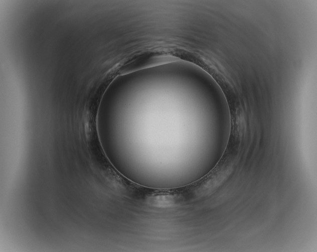 X0000113560228200909181226