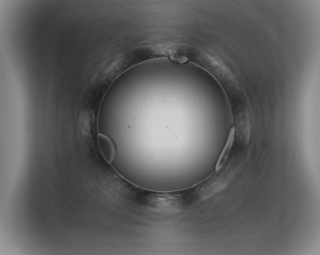 X0000113560229200909181226