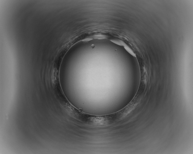 X0000113560230200909181226
