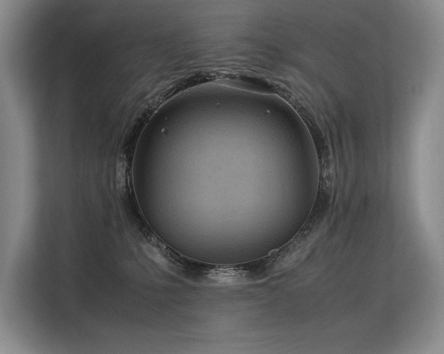 X0000113560231200909181226