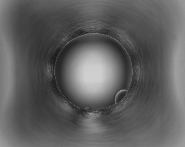 X0000113560232200909181226