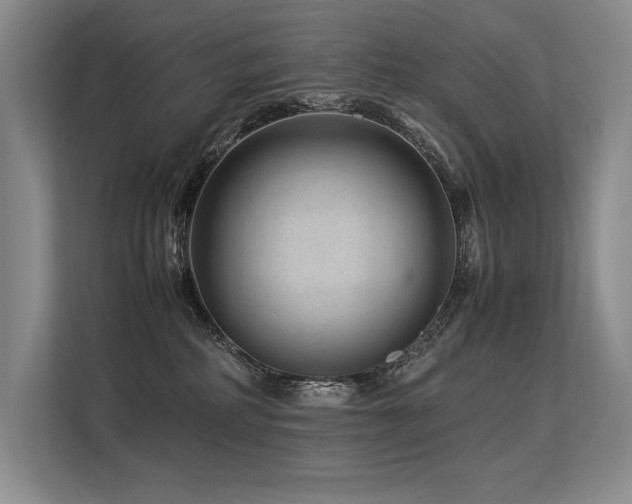 X0000113560234200909181226