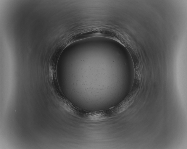 X0000113560235200909181226