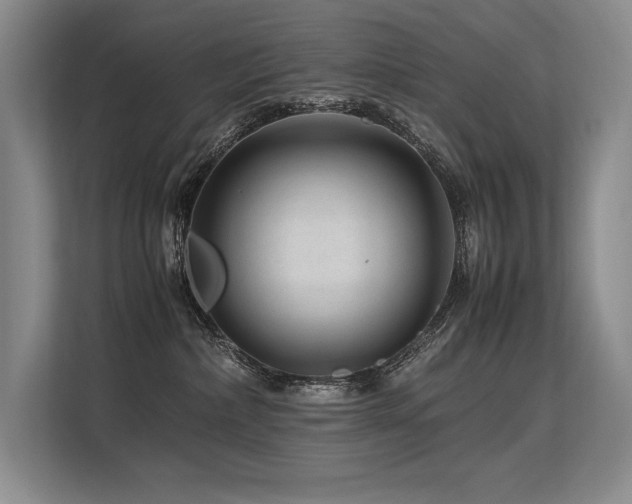 X0000113560236200909181226