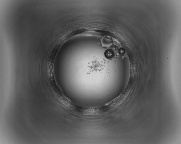 X0000113560237200909181226