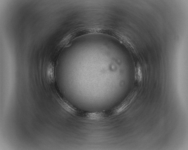 X0000113560238200909181226