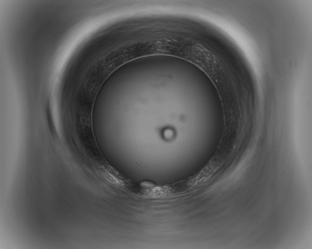 X0000113560239200909181226