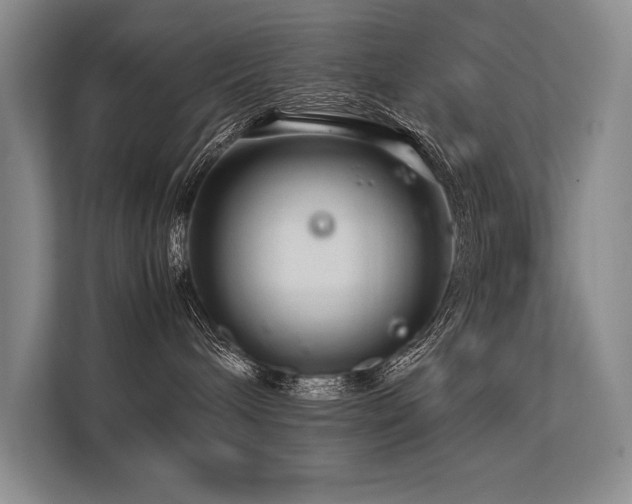 X0000113560240200909181226