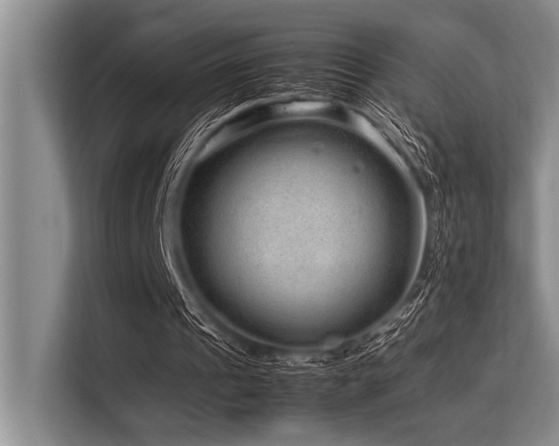 X0000113560241200909181225