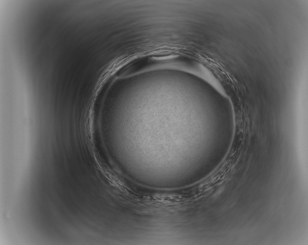 X0000113560242200909181225