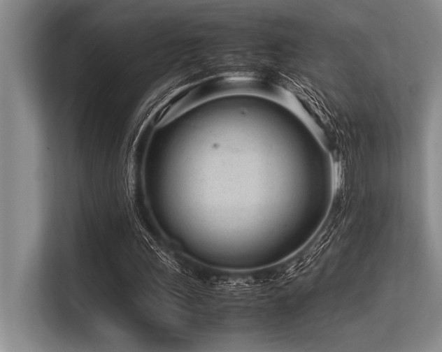 X0000113560243200909181225