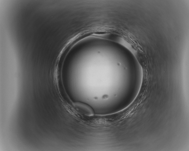 X0000113560244200909181225