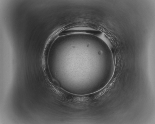 X0000113560245200909181225