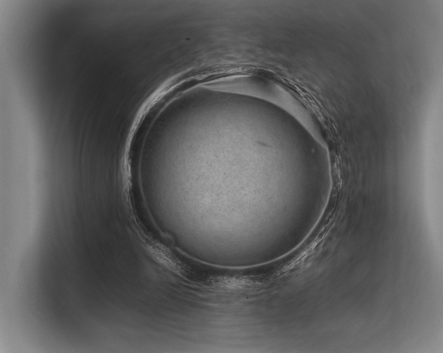 X0000113560246200909181225