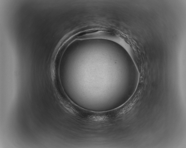 X0000113560247200909181225