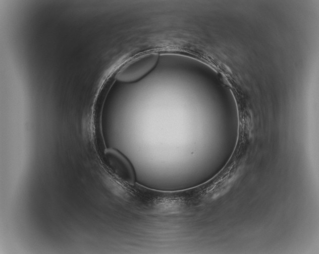 X0000113560248200909181225