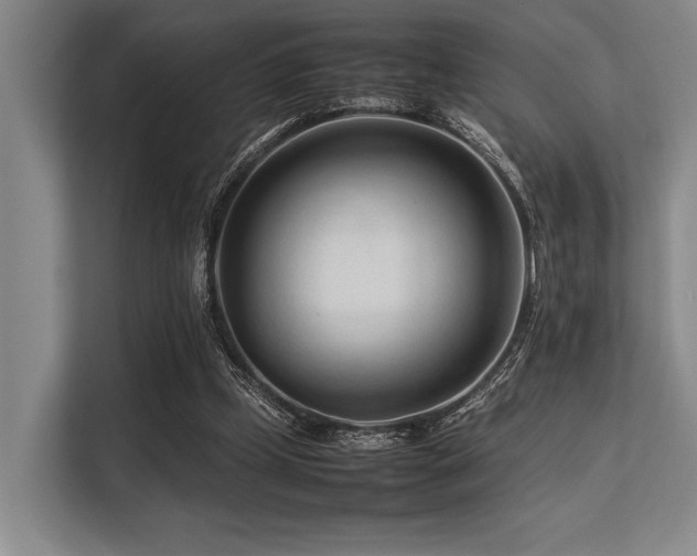 X0000113560249200909181225