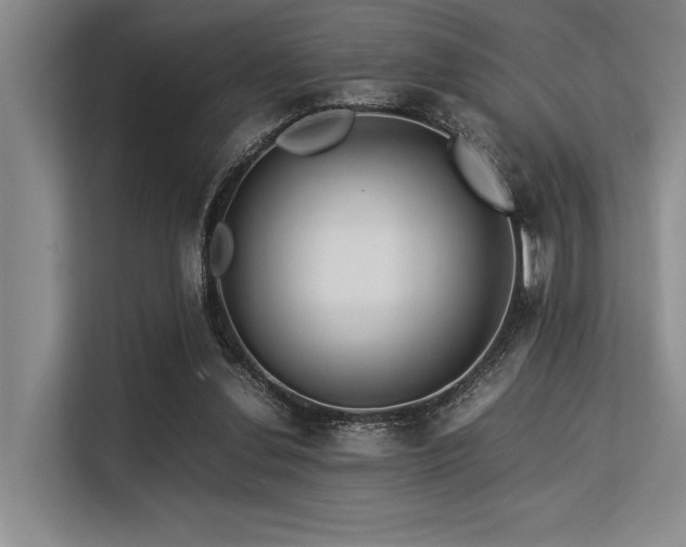 X0000113560252200909181225