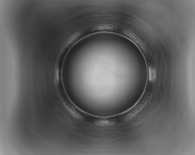 X0000113560253200909181225