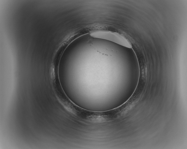 X0000113560254200909181225
