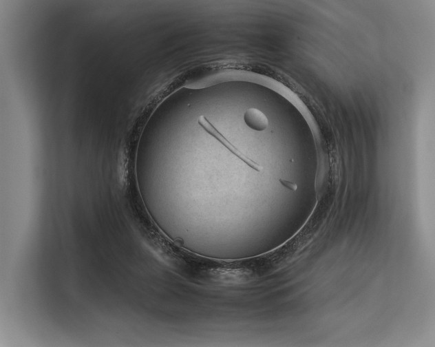 X0000113560255200909181225