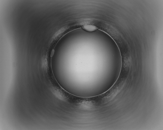 X0000113560256200909181225