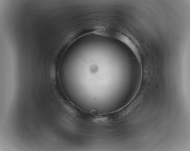 X0000113560257200909181225