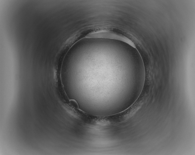 X0000113560258200909181225