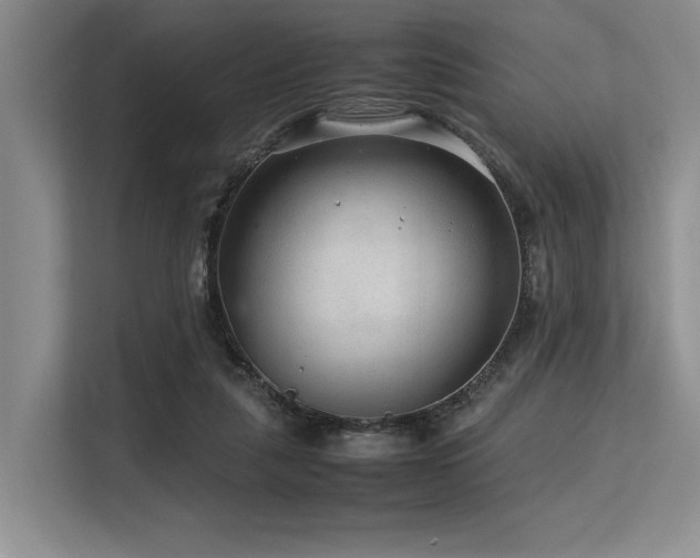 X0000113560259200909181225
