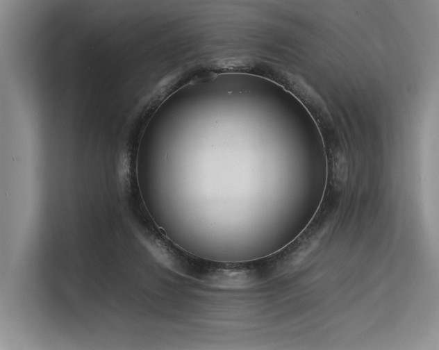 X0000113560260200909181225