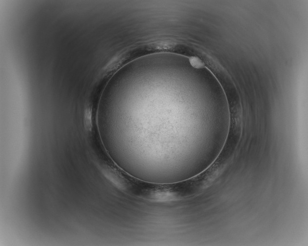 X0000113560262200909181225