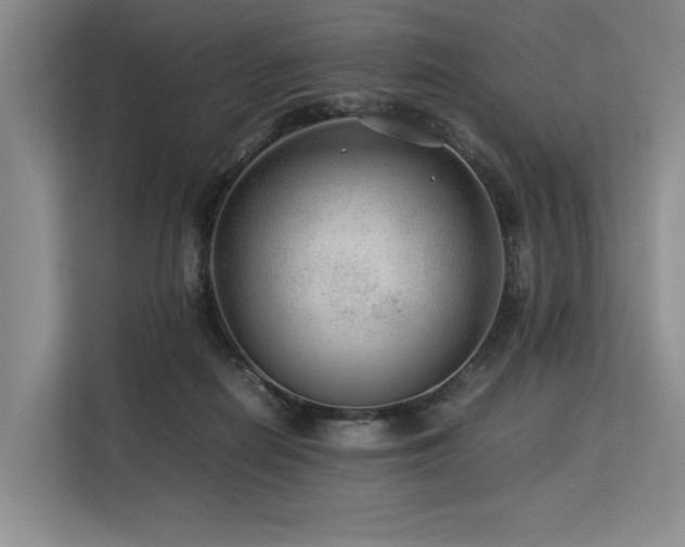 X0000113560266200909181225