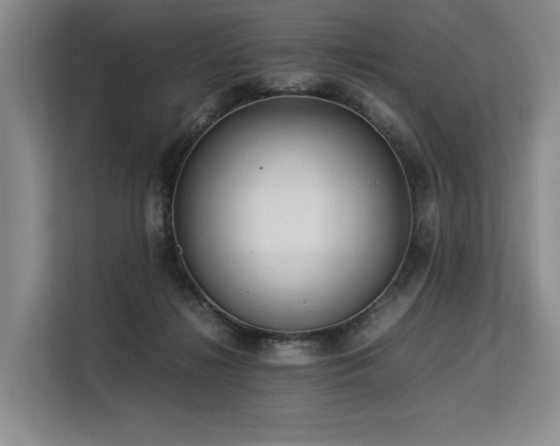 X0000113560268200909181225