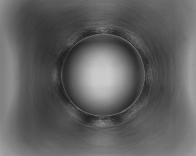 X0000113560270200909181225