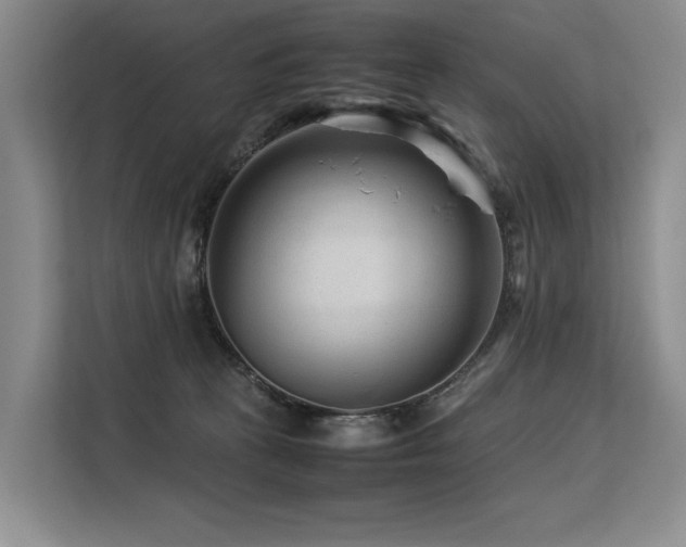 X0000113560273200909181225