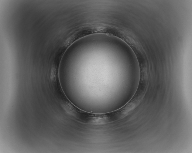 X0000113560274200909181225