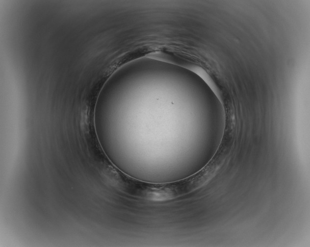 X0000113560275200909181225