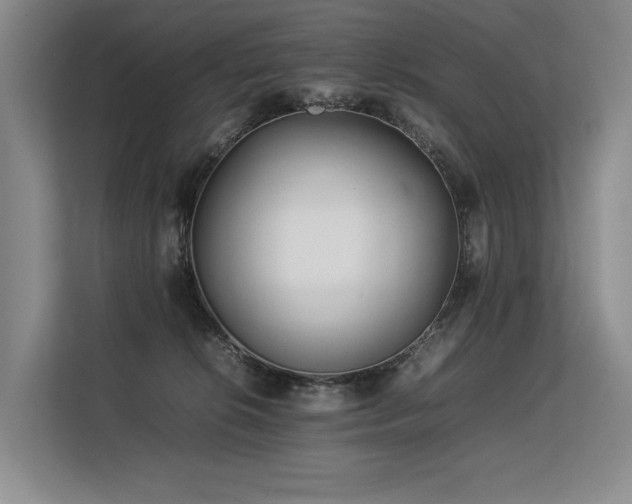 X0000113560276200909181225