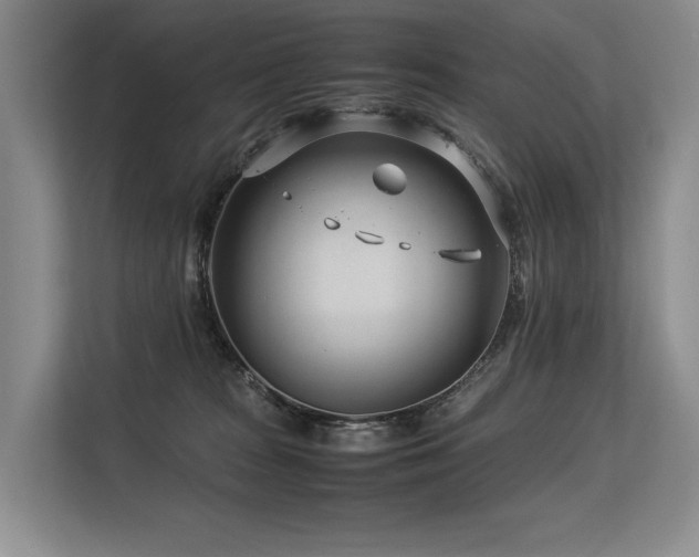 X0000113560277200909181225