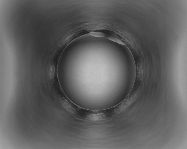 X0000113560278200909181225