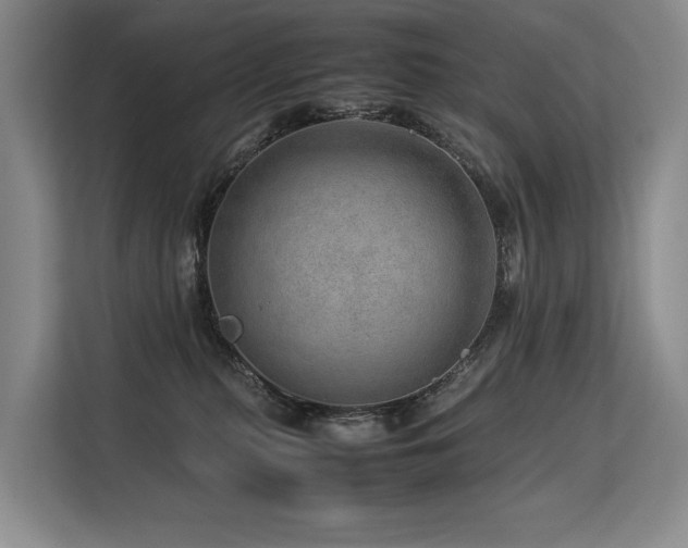 X0000113560279200909181225