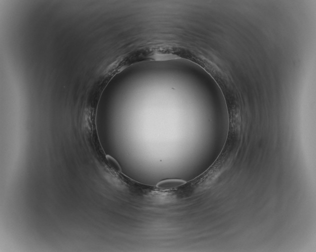 X0000113560280200909181225