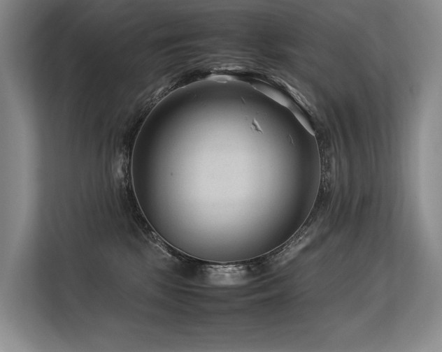X0000113560281200909181225