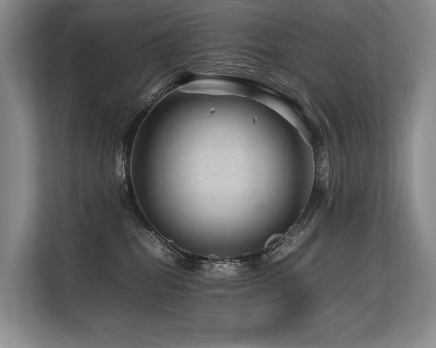 X0000113560282200909181225