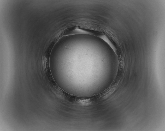 X0000113560283200909181225