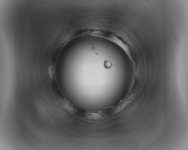X0000113560285200909181226