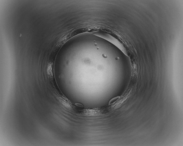 X0000113560286200909181226