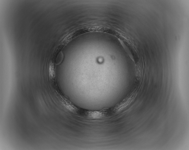 X0000113560287200909181226
