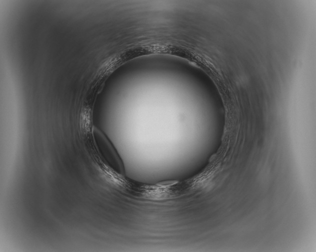 X0000113560288200909181226